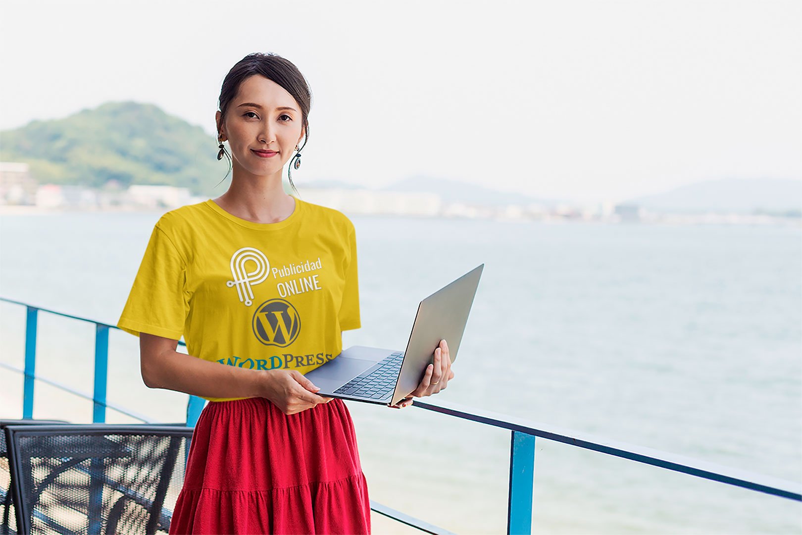 Wordpress Diseño Desarrollador Mantenimiento